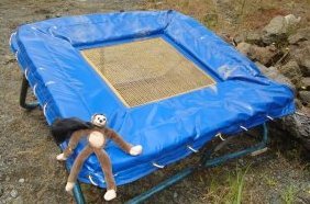 stunt_productions_mini_Trampoline_inv337.jpg