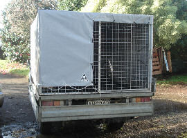 animal_trailer_cover.jpg