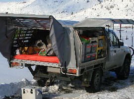 small_truck_cover_snow.jpg