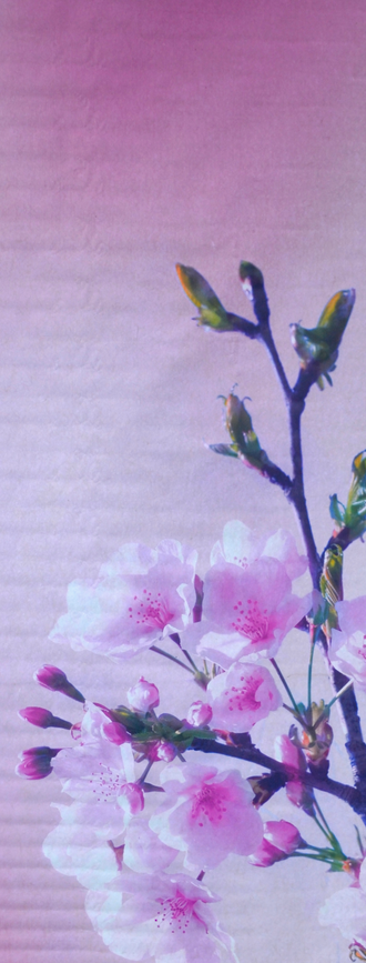 Build a Bag Billboard Skin 51392